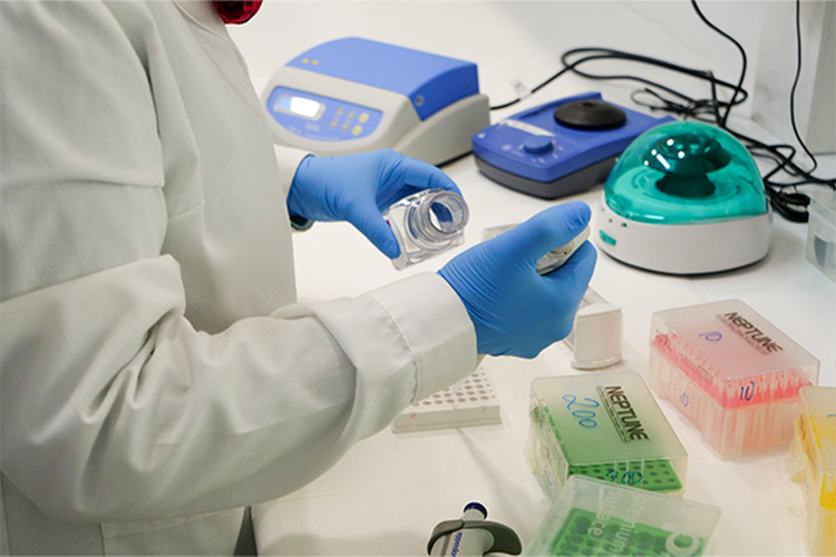 LA UMA se sitúa entre las universidades andaluzas con mayor número de grupos de investigación